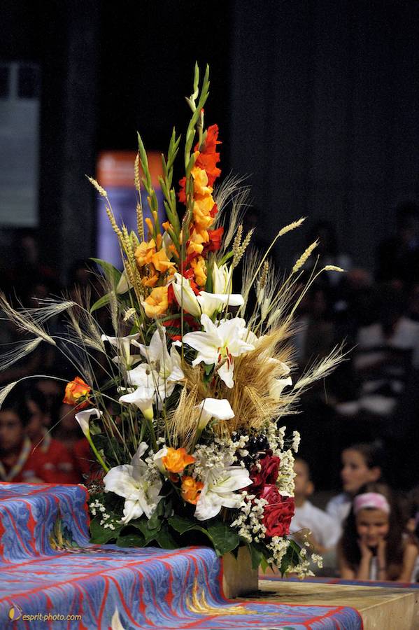 Nom de l'image : D30058271_1_(c)Norbert-JUNG — Description :